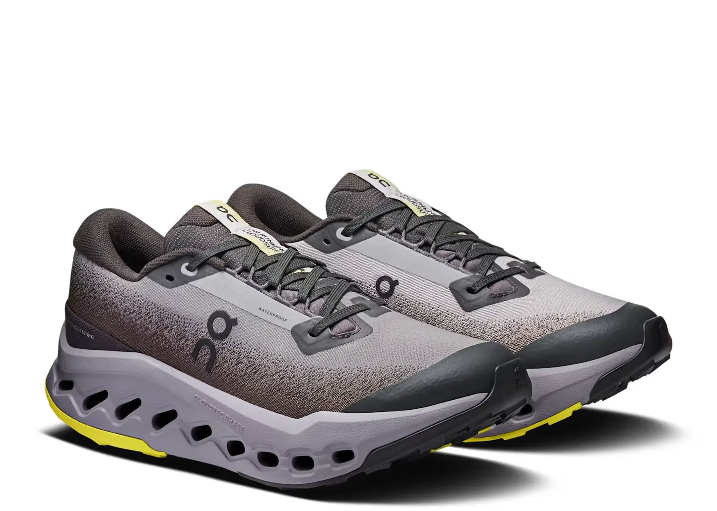 Cloudsurfer Trail 2 Waterproof Black Lilac (W)