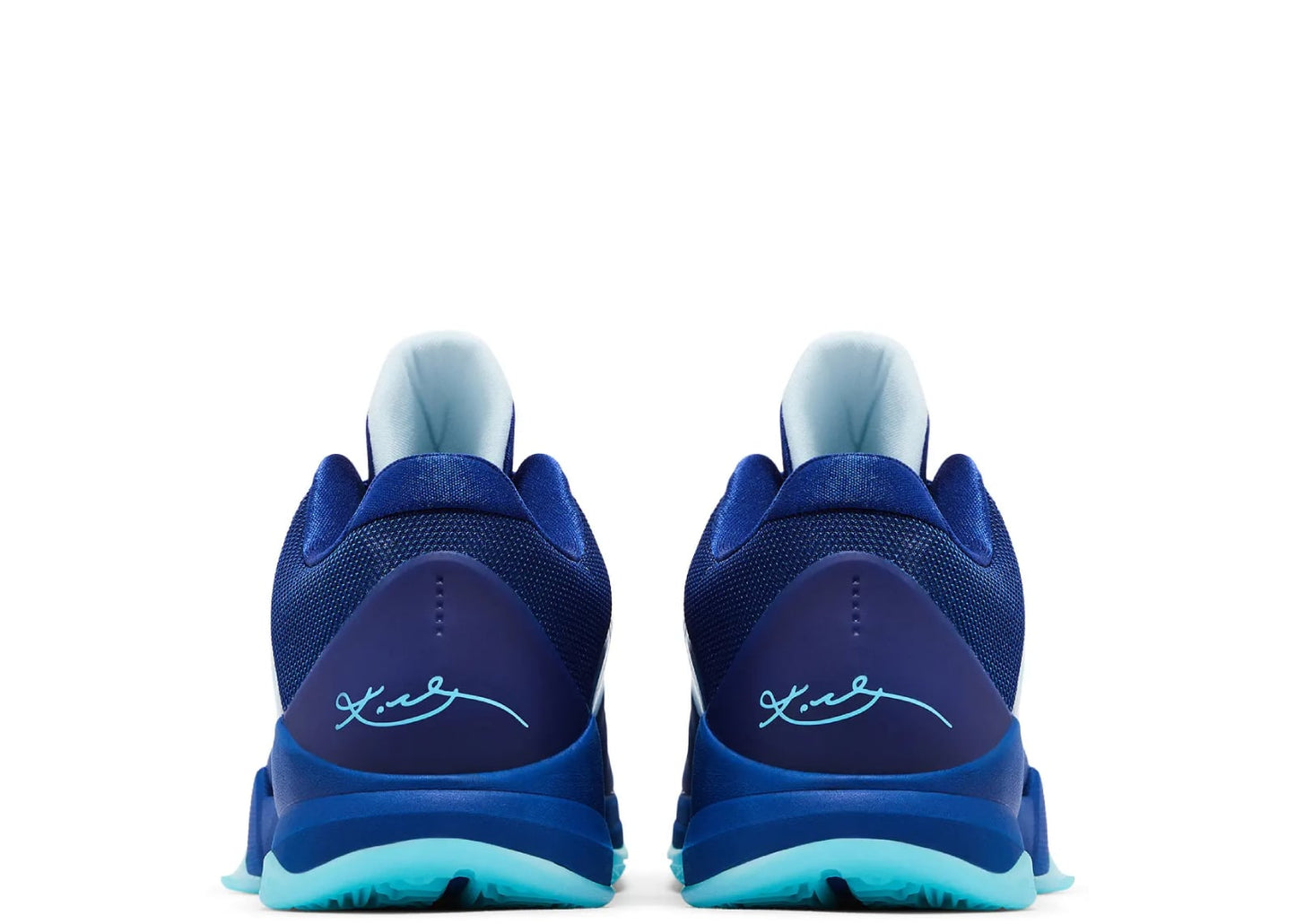 Kobe 5 Protro X-Ray