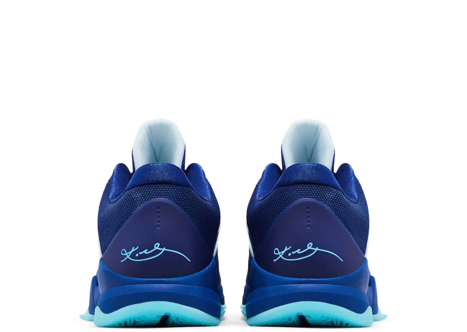 Kobe 5 Protro X-Ray