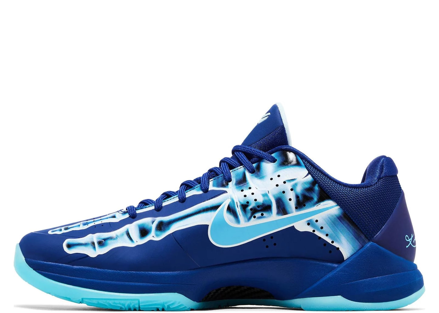 Kobe 5 Protro X-Ray