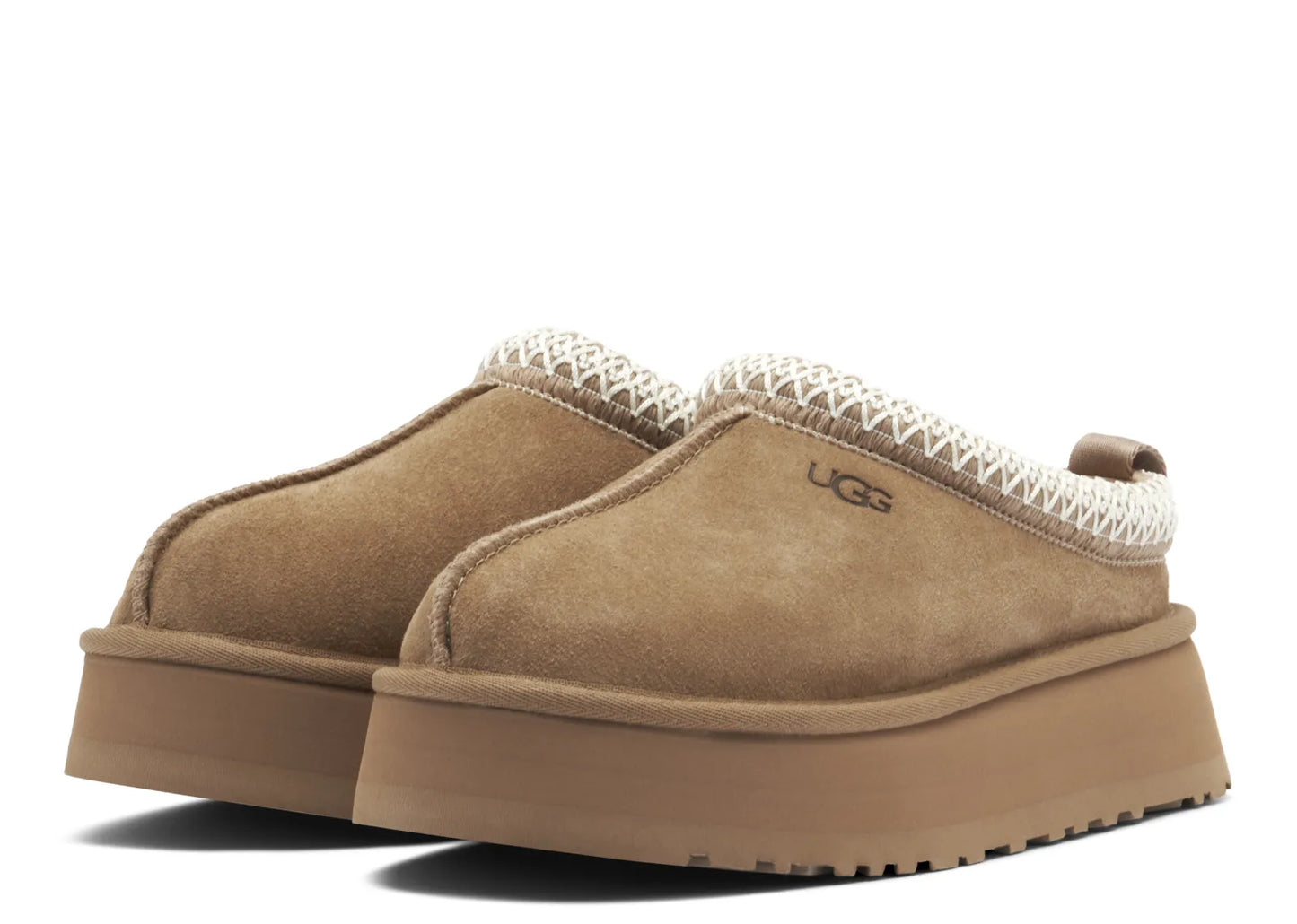 Tazz Slipper Mushroom (W)