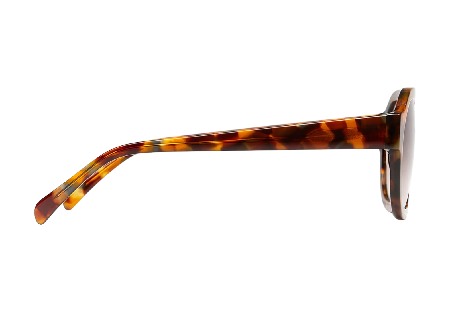 Phoenix Tort / Mocha