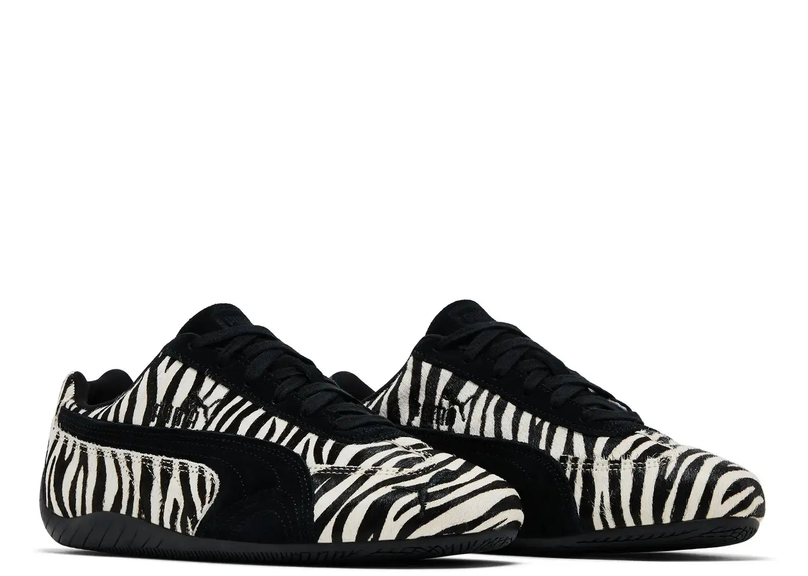 Speedcat Zebra (Women's)