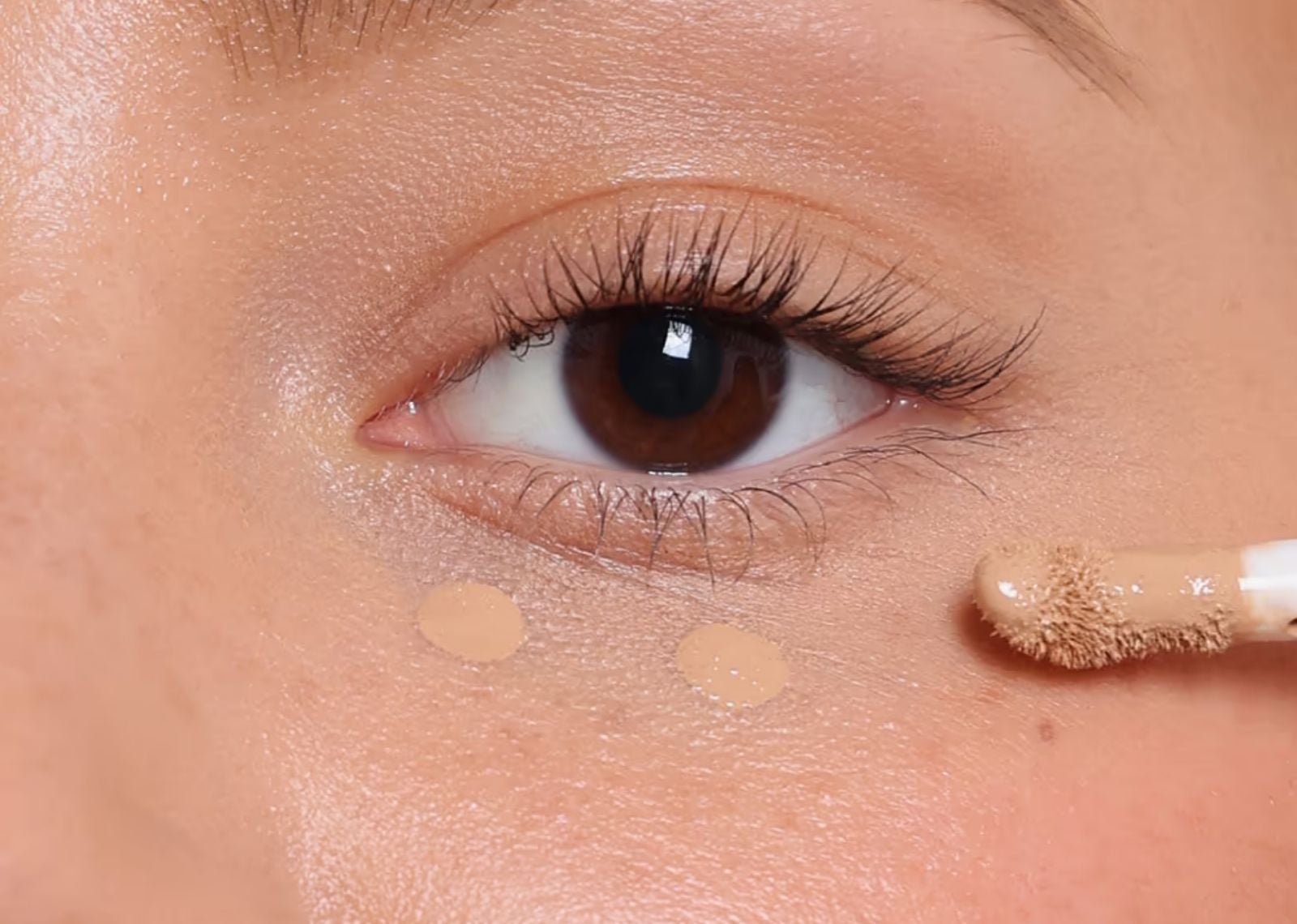 Concealer 12W