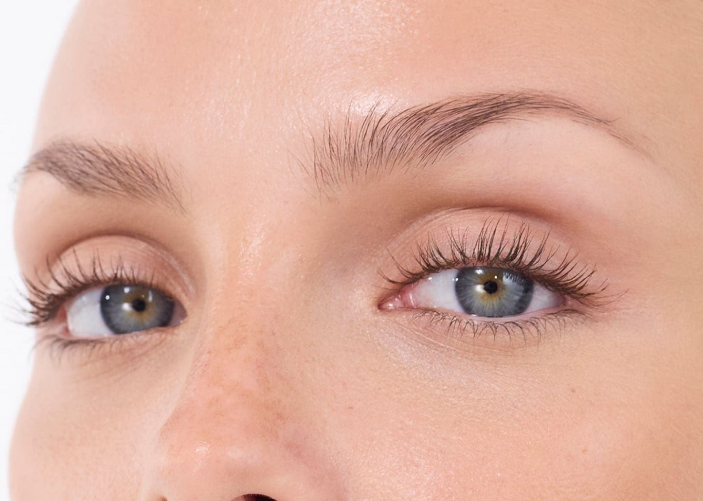 Lash Sculpt Brown