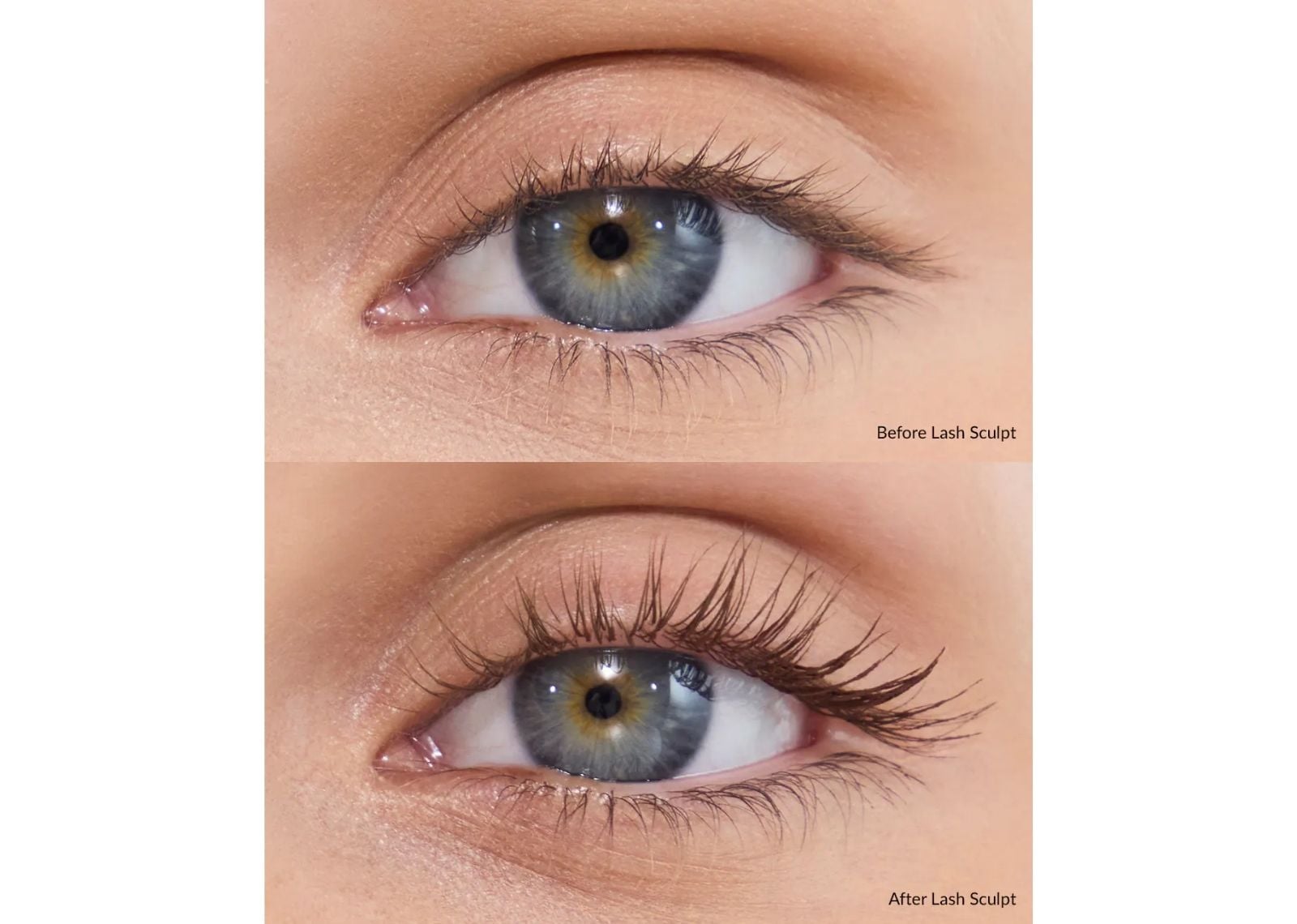 Lash Sculpt Brown