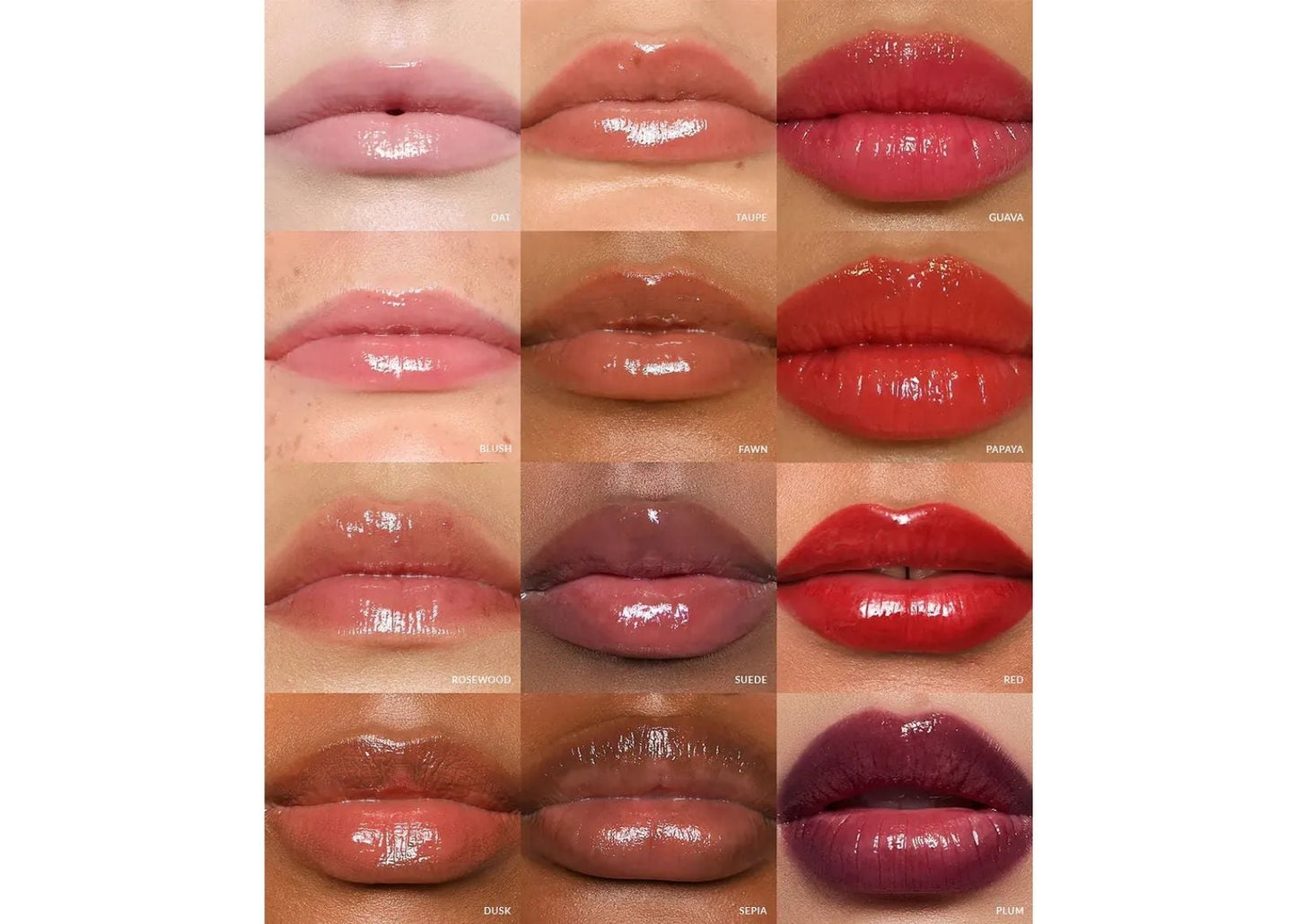 Lip Gloss Plum