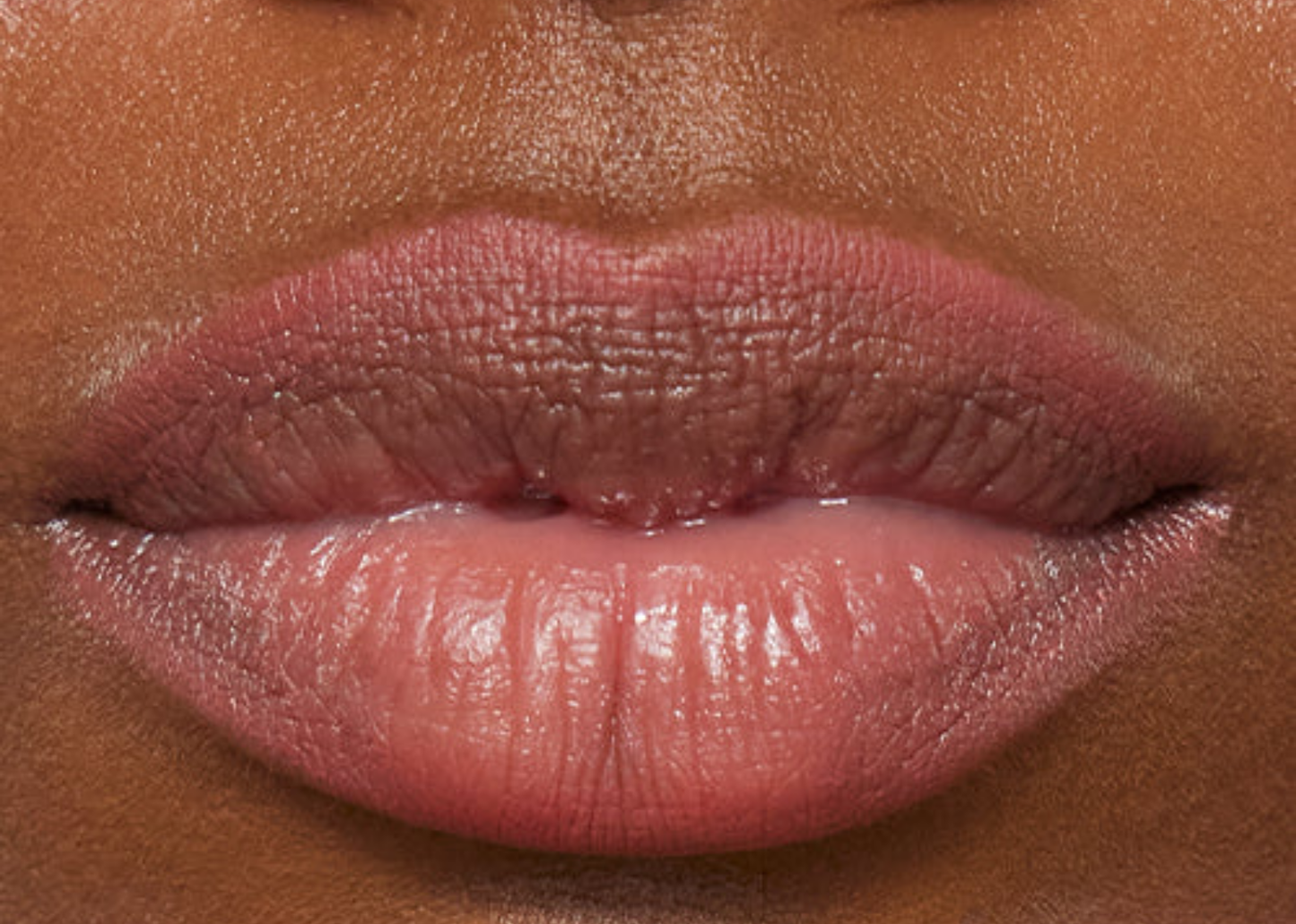 Lip Sculpt Dusk