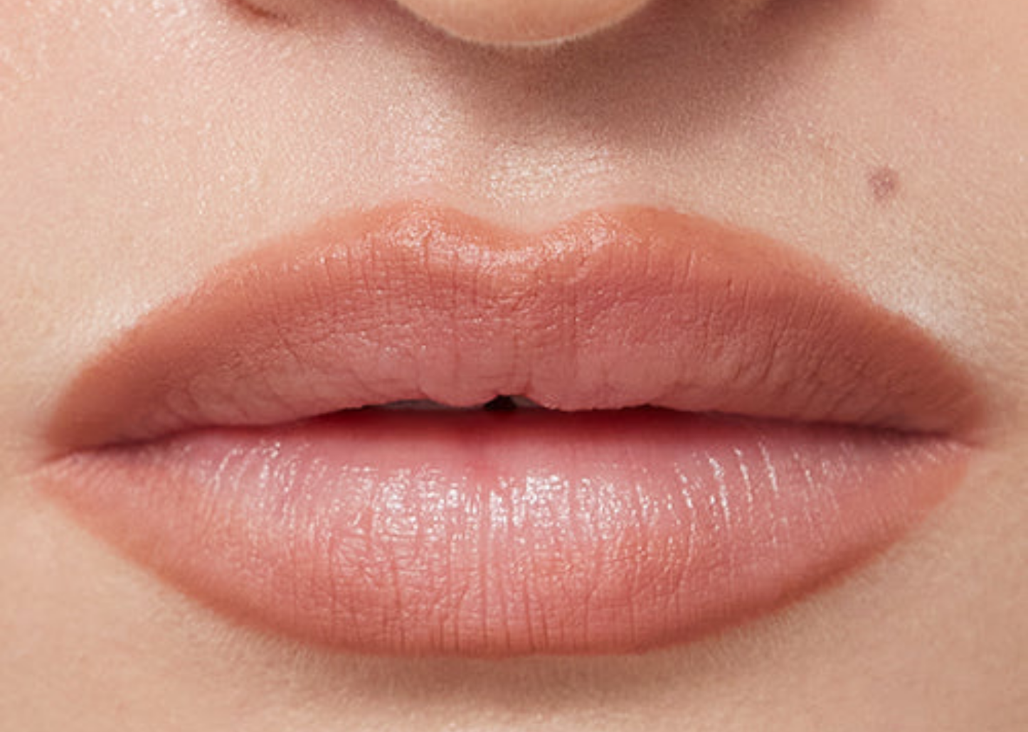 Lip Sculpt Taupe