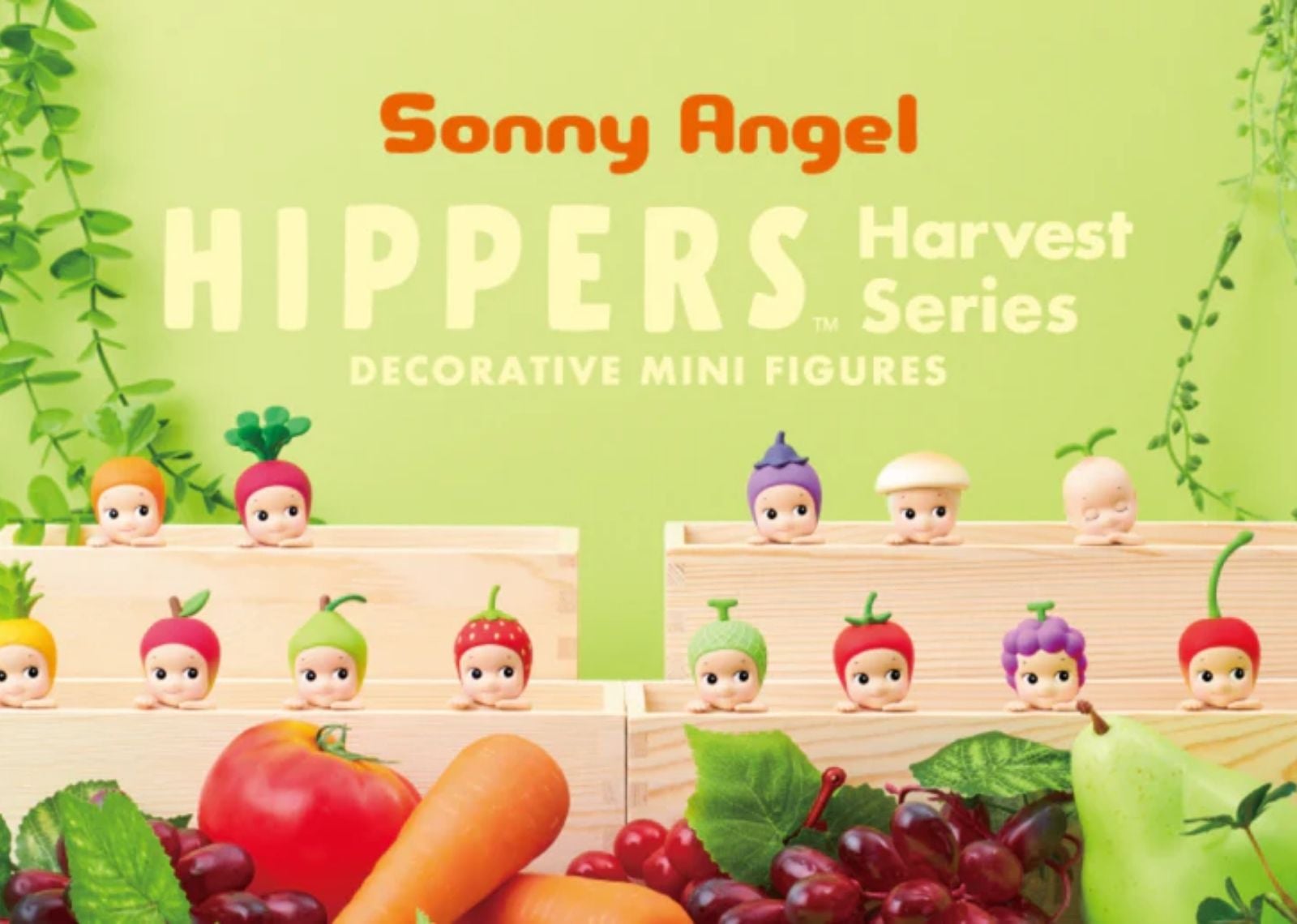 HIPPERS Harvest Series Single Blind Box