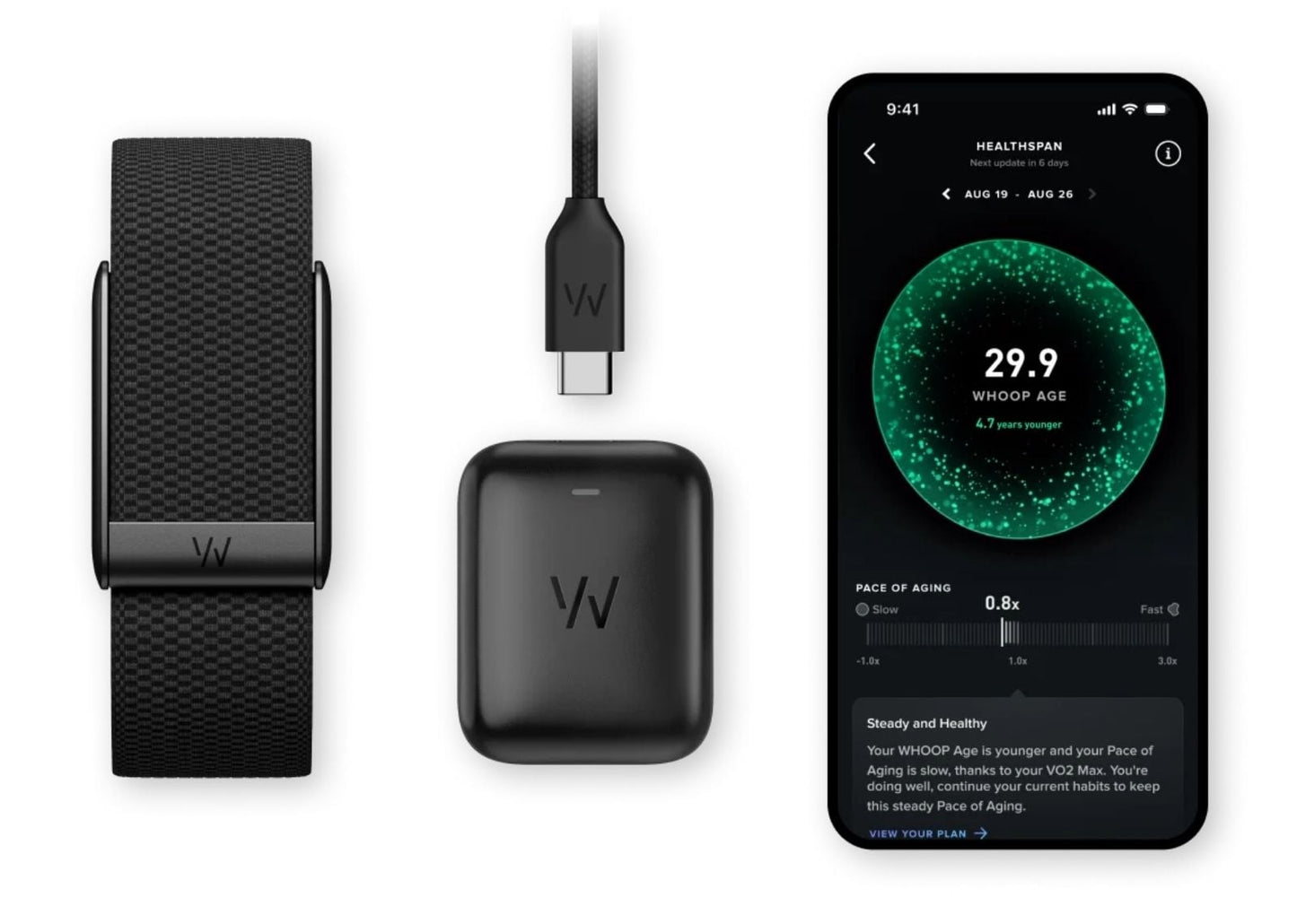 5.0 Ash Grey CoreKnit Band - 12 Month Peak Membership