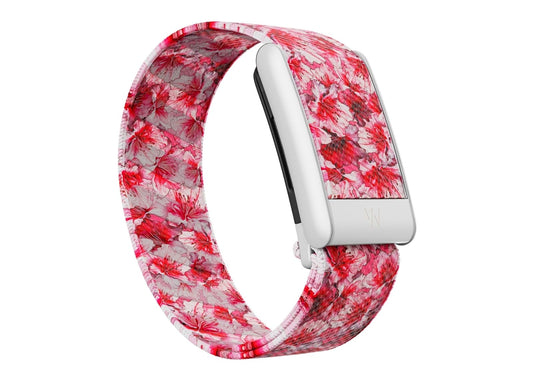 5.0 Azalea SuperKnit Band - 12 Month Peak Membership