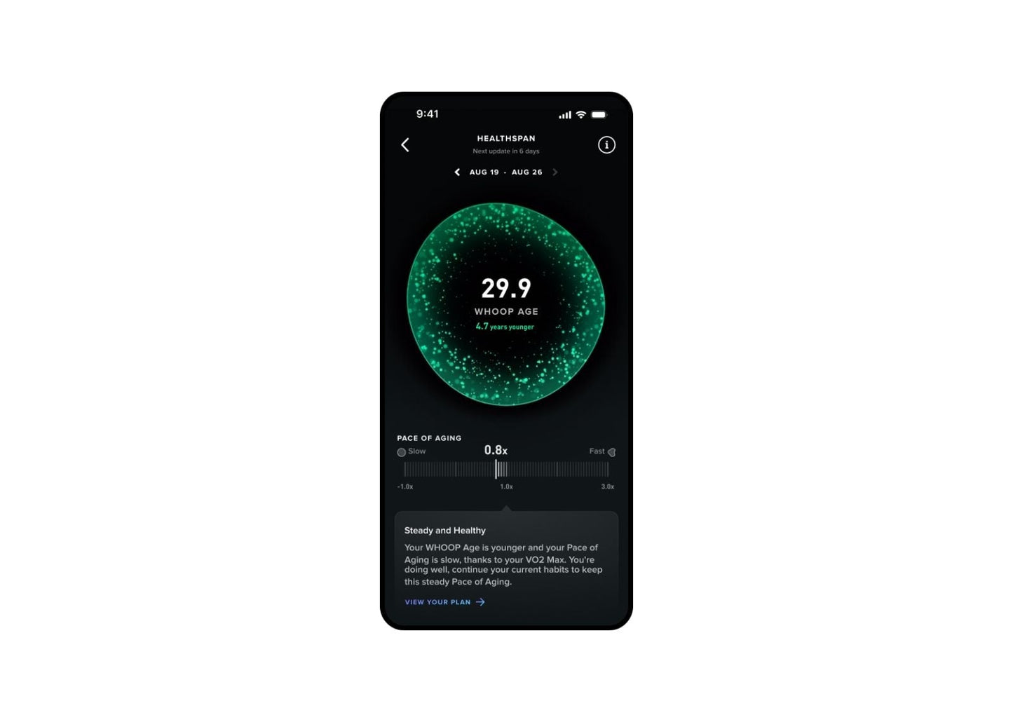 5.0 Midnight SuperKnit Band - 12 Month Peak Membership